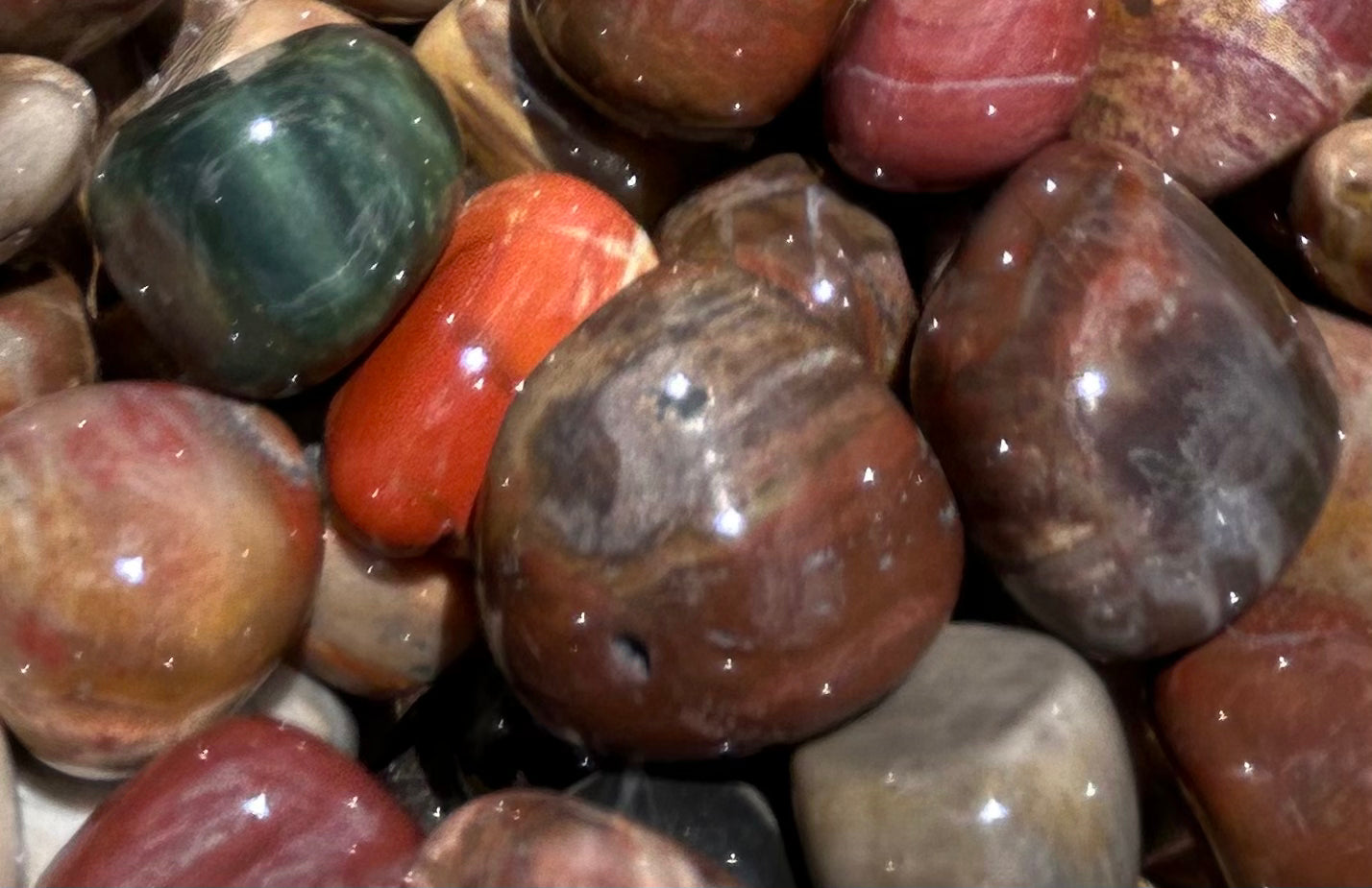 Petrified Wood Tumbles Small Mountain Mineral Market